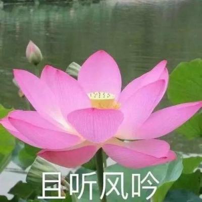【境内疫情观察】四川新增7例境外输入病例（3月6日）